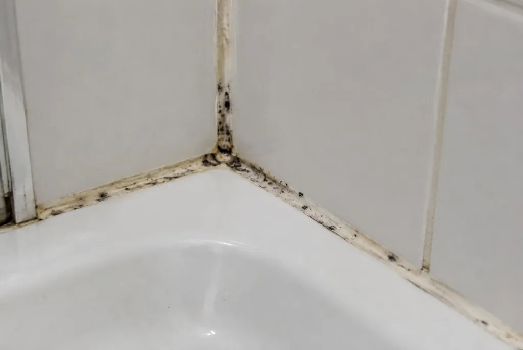 Kitbedrijf Swifterbant – beschimmelde kitranden